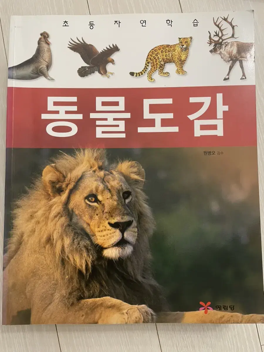 초등 자연학습 도감(동물, 곤충, 물고기, 갯벌생물, 식물)